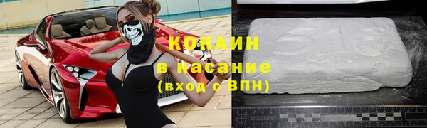 индика Верхний Тагил