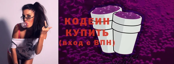 амф Гусиноозёрск