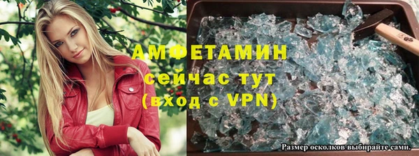прущие грибы Богородск