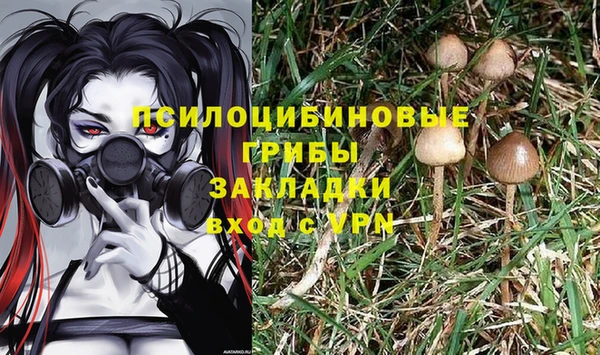 мдпв Верхнеуральск