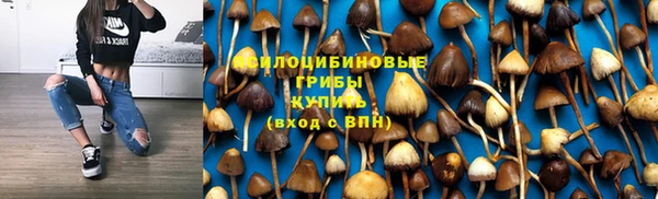 МДПВ Гусев