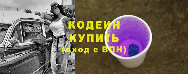 индика Верхний Тагил